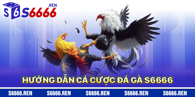 Hướng Dẫn Cá Cược Đá Gà S6666