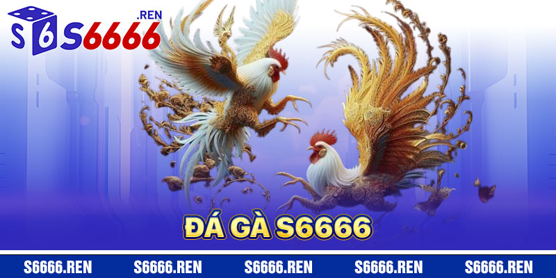 Đá Gà S6666