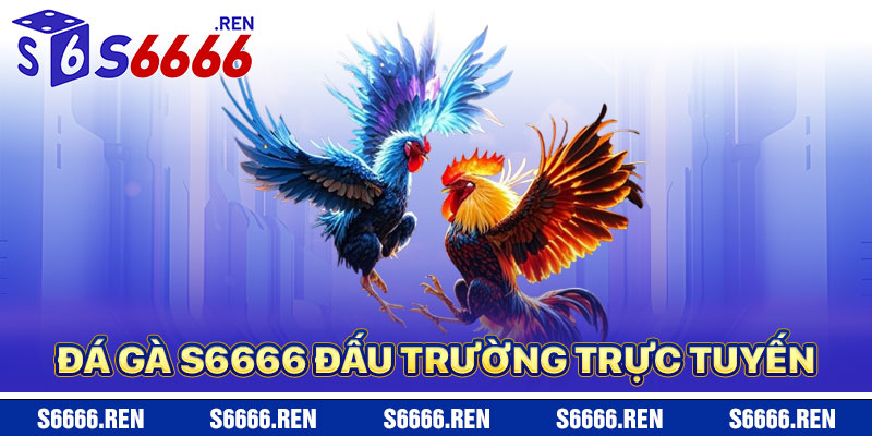 Đá Gà S6666 – Đấu Trường Chọi Gà Trực Tuyến